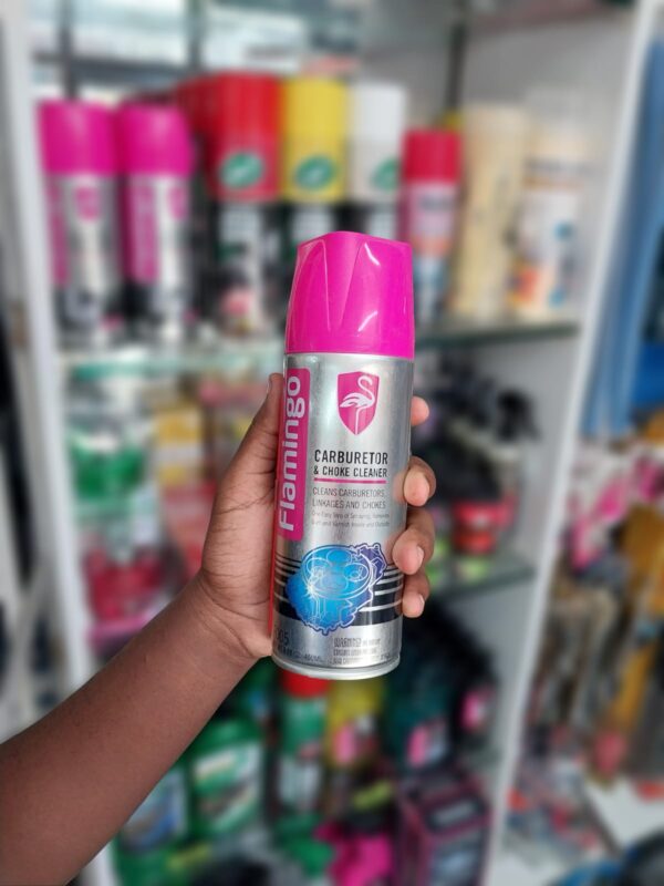 Carburetor cleaner spray